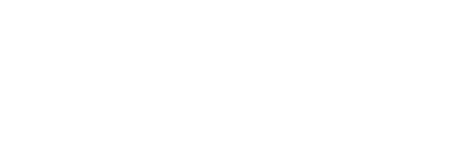 Logo Volkswagenstiftung 